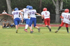 Enlarge photo 417