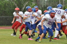 Enlarge photo 430