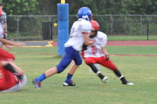 Enlarge photo 434