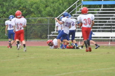 Enlarge photo 442