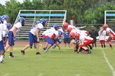 Enlarge photo 447