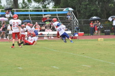Enlarge photo 449