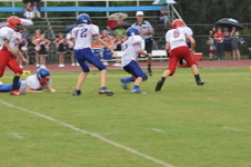 Enlarge photo 454