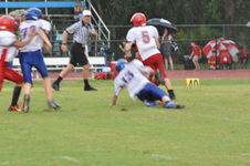 Enlarge photo 455
