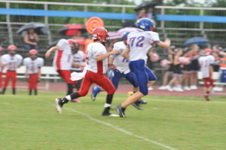 Enlarge photo 458