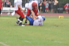 Enlarge photo 461