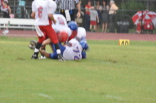 Enlarge photo 462
