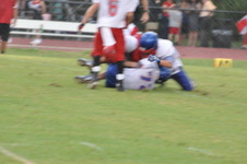 Enlarge photo 463