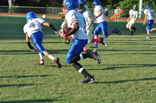 Enlarge photo 37