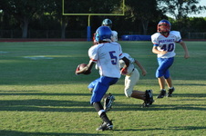 Enlarge photo 40