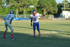 Enlarge photo 43