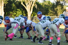 Enlarge photo 44