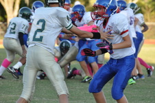 Enlarge photo 50