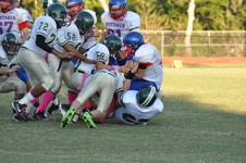 Enlarge photo 51