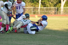 Enlarge photo 53