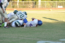 Enlarge photo 55