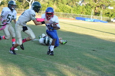 Enlarge photo 78