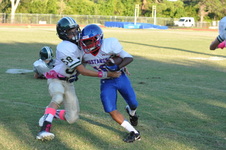 Enlarge photo 81