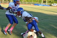 Enlarge photo 83