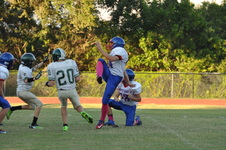 Enlarge photo 120
