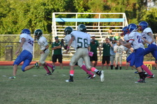 Enlarge photo 140