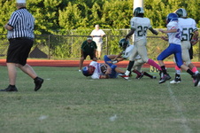Enlarge photo 141