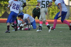 Enlarge photo 144