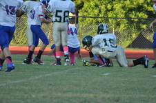 Enlarge photo 147