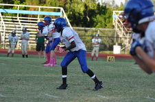 Enlarge photo 153