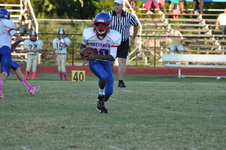 Enlarge photo 154