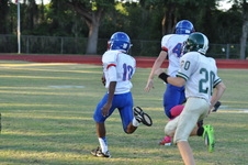 Enlarge photo 161
