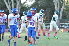 Enlarge photo 167