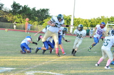 Enlarge photo 176