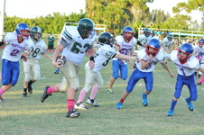 Enlarge photo 181
