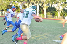 Enlarge photo 183