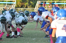 Enlarge photo 187