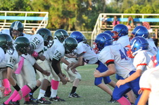 Enlarge photo 186