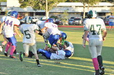 Enlarge photo 203