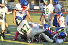 Enlarge photo 204