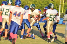 Enlarge photo 207