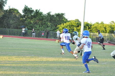Enlarge photo 216