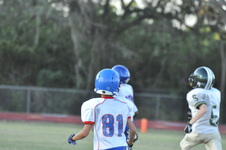 Enlarge photo 219