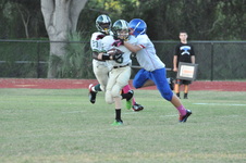 Enlarge photo 222