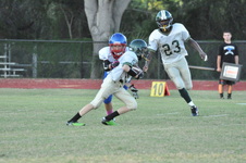 Enlarge photo 223