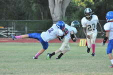 Enlarge photo 224