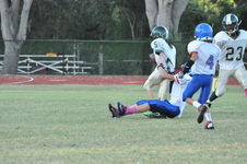 Enlarge photo 225