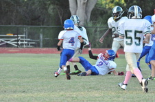Enlarge photo 226