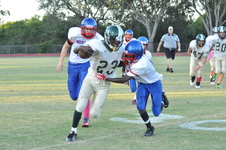 Enlarge photo 227