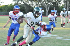 Enlarge photo 229