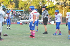 Enlarge photo 231